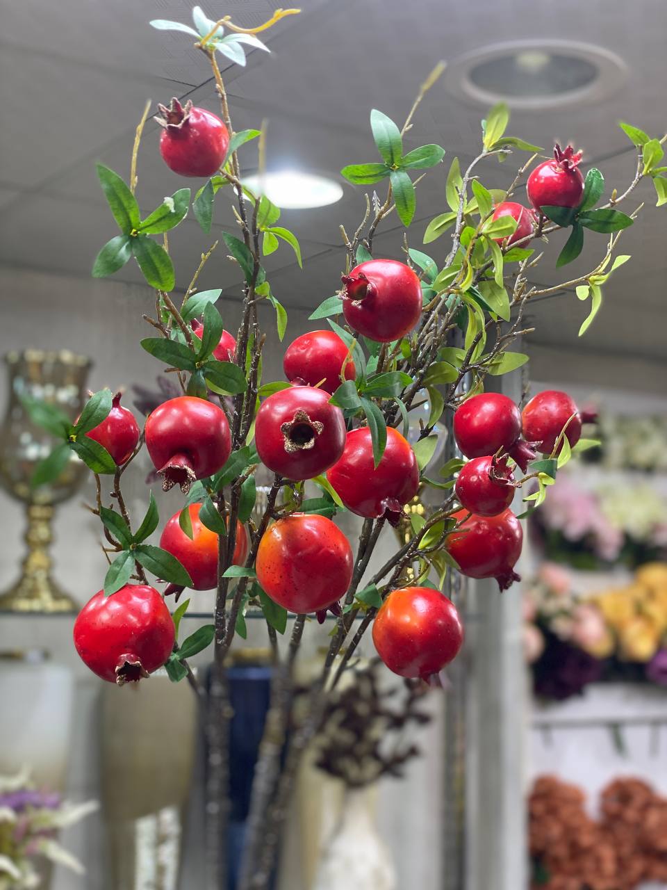 شاخه انار بلند