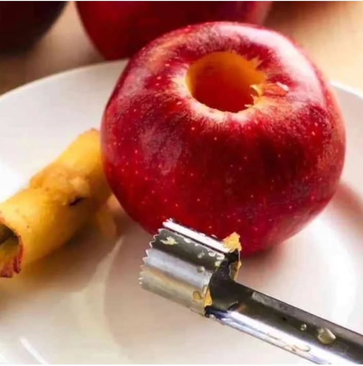 هسته گیرسیب استیل