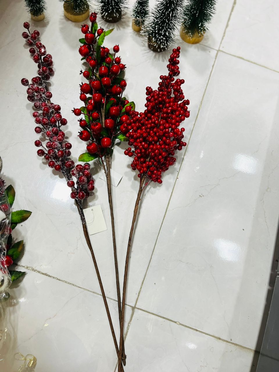 شاخه یلدایی