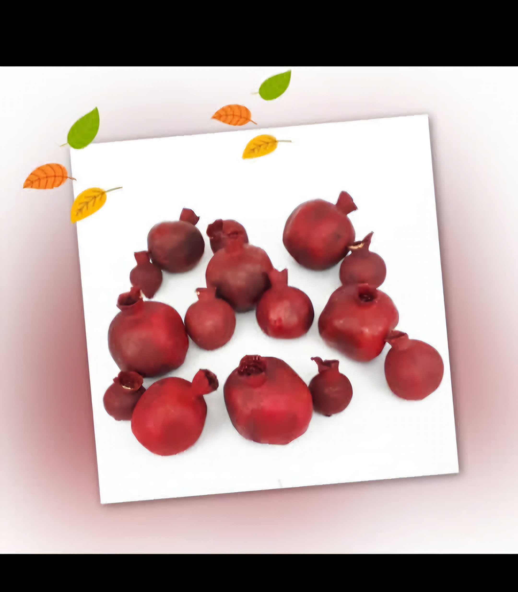 انار خشک طبیعی